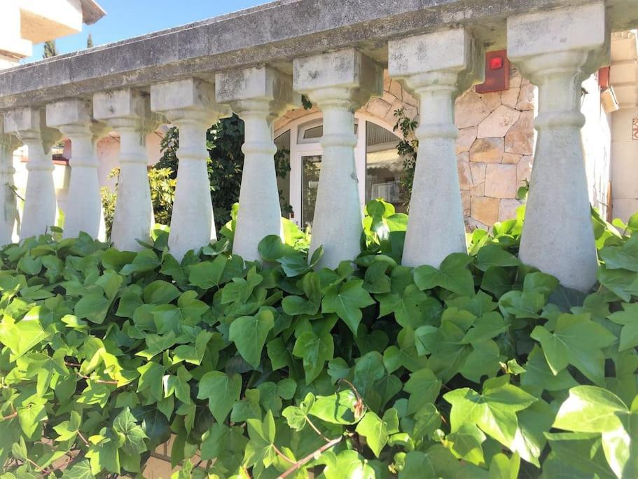Family House - La Mora - Holiday home *